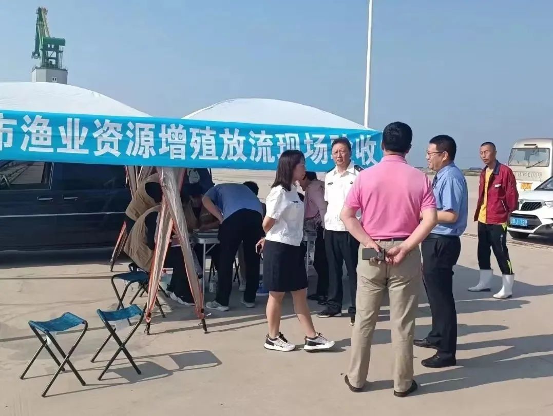 球速体育