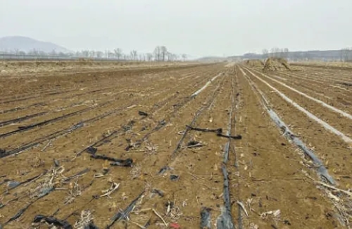 2.webp.jpg 球速体育