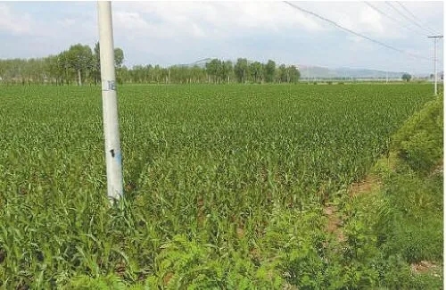 3.webp.jpg 球速体育