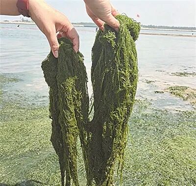 球速体育