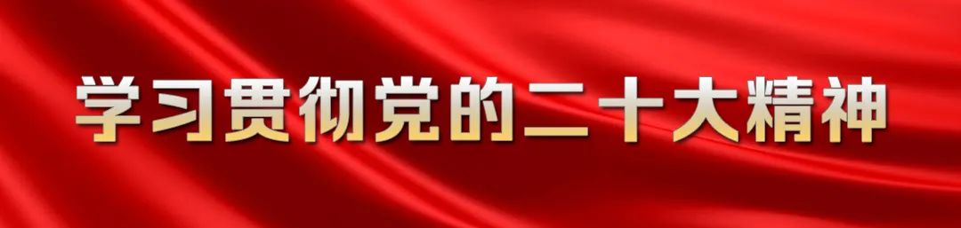 球速体育