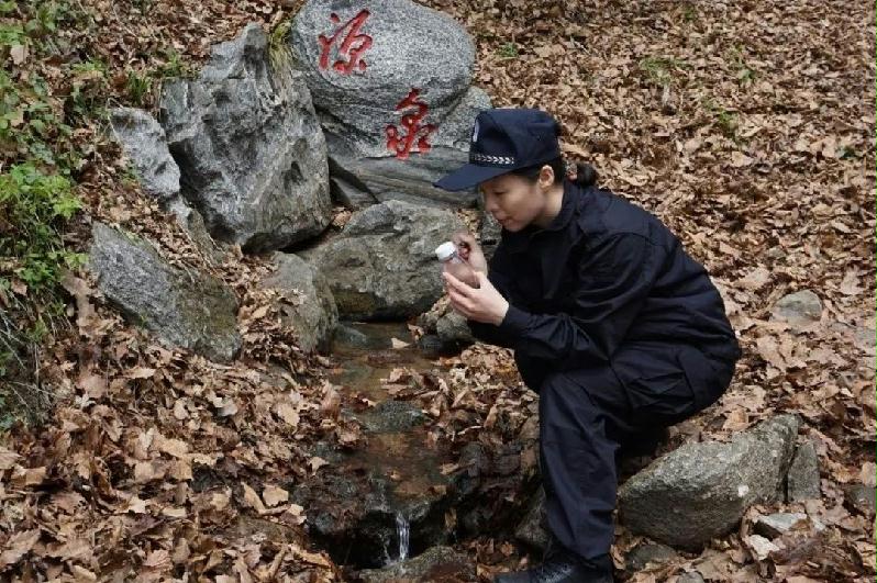 球速体育