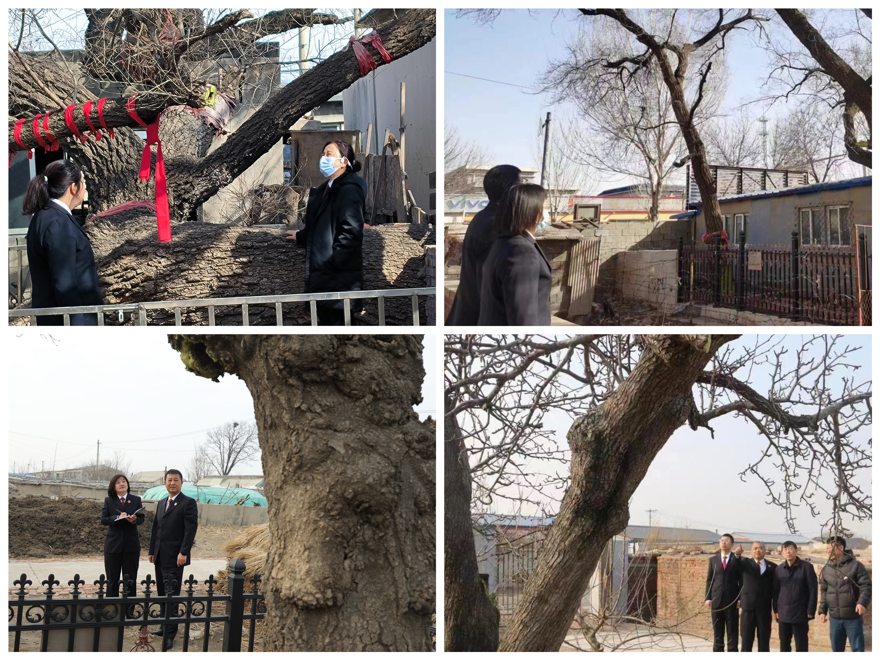 ”检察蓝“助力生物多样性保护3.jpg 球速体育