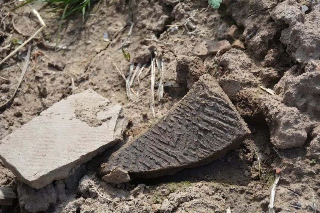 微信图片_20230419092114.jpg 球速体育