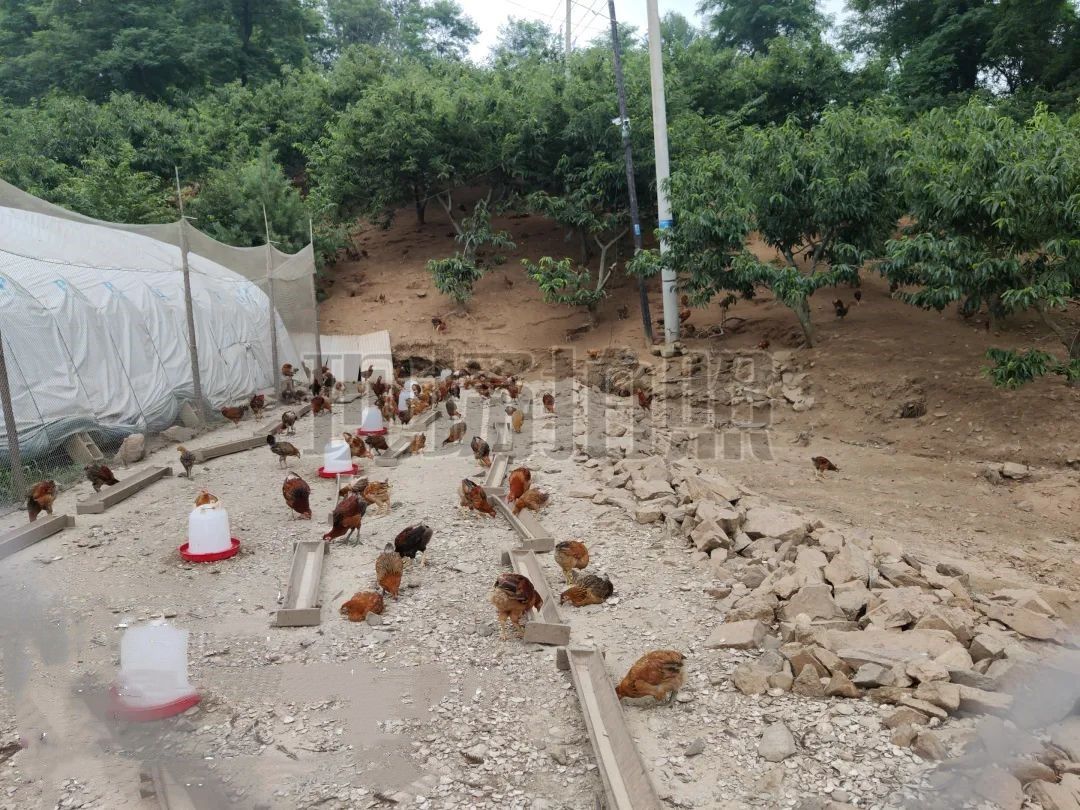 微信图片_20230526073105.jpg 球速体育