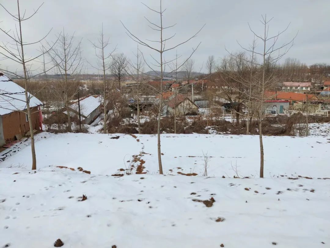 微信图片_20230526073107.jpg 球速体育