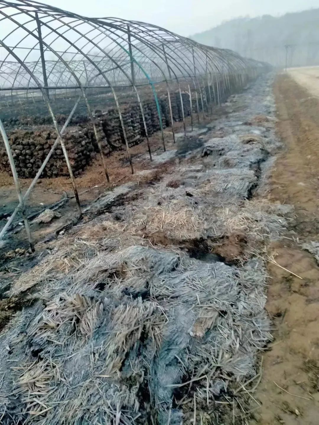 微信图片_20230731112615.jpg 球速体育