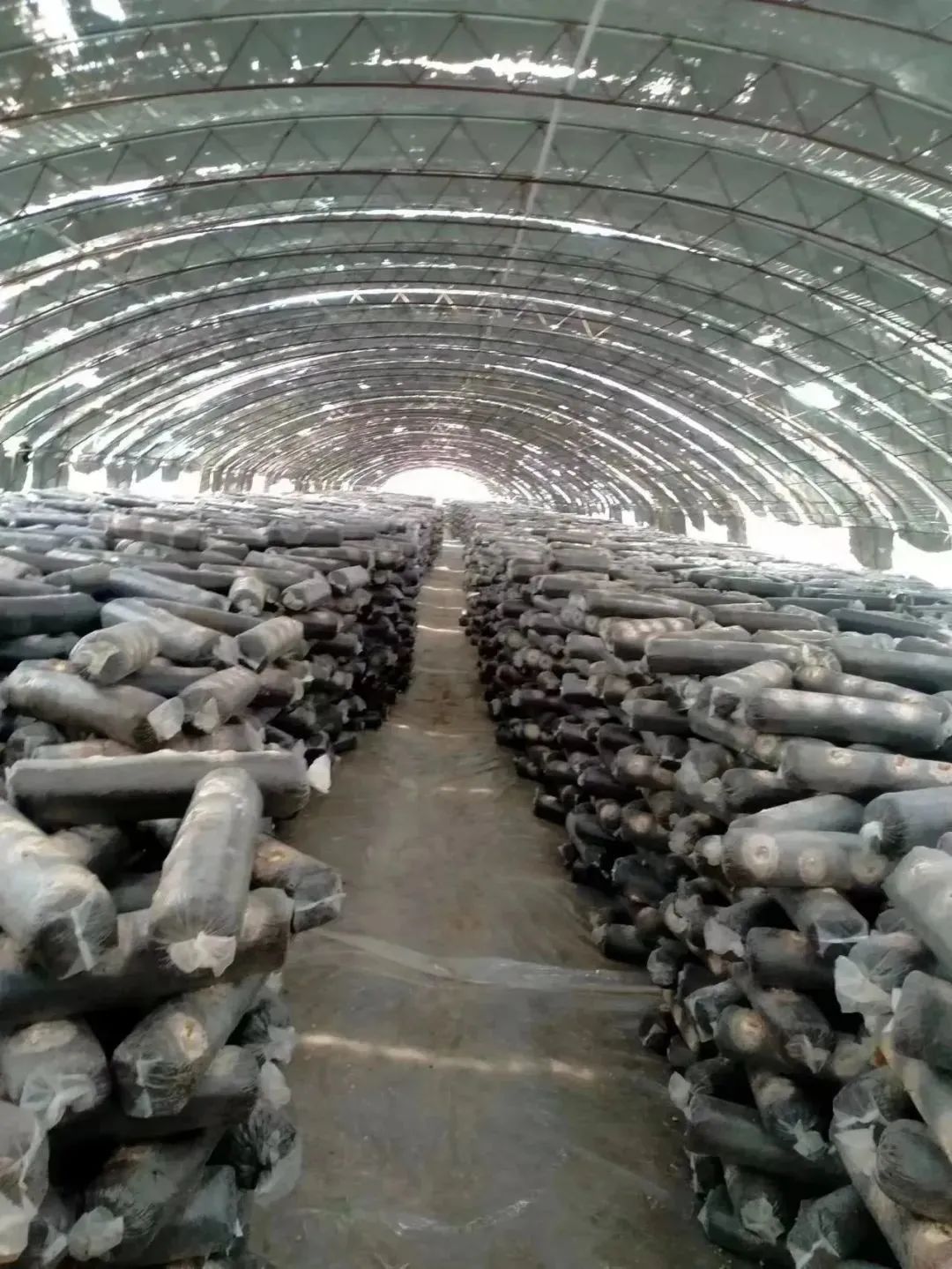 微信图片_20230731112616.jpg 球速体育