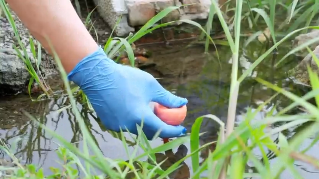 微信图片_20230816092949.png 球速体育