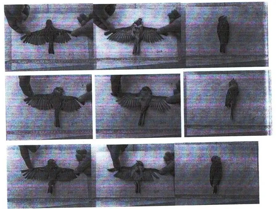 微信图片_20230816092953.jpg 球速体育