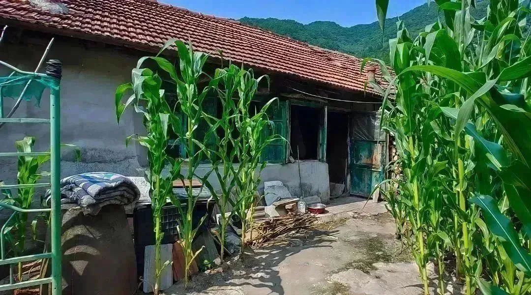 微信图片_20231117084157.jpg 球速体育