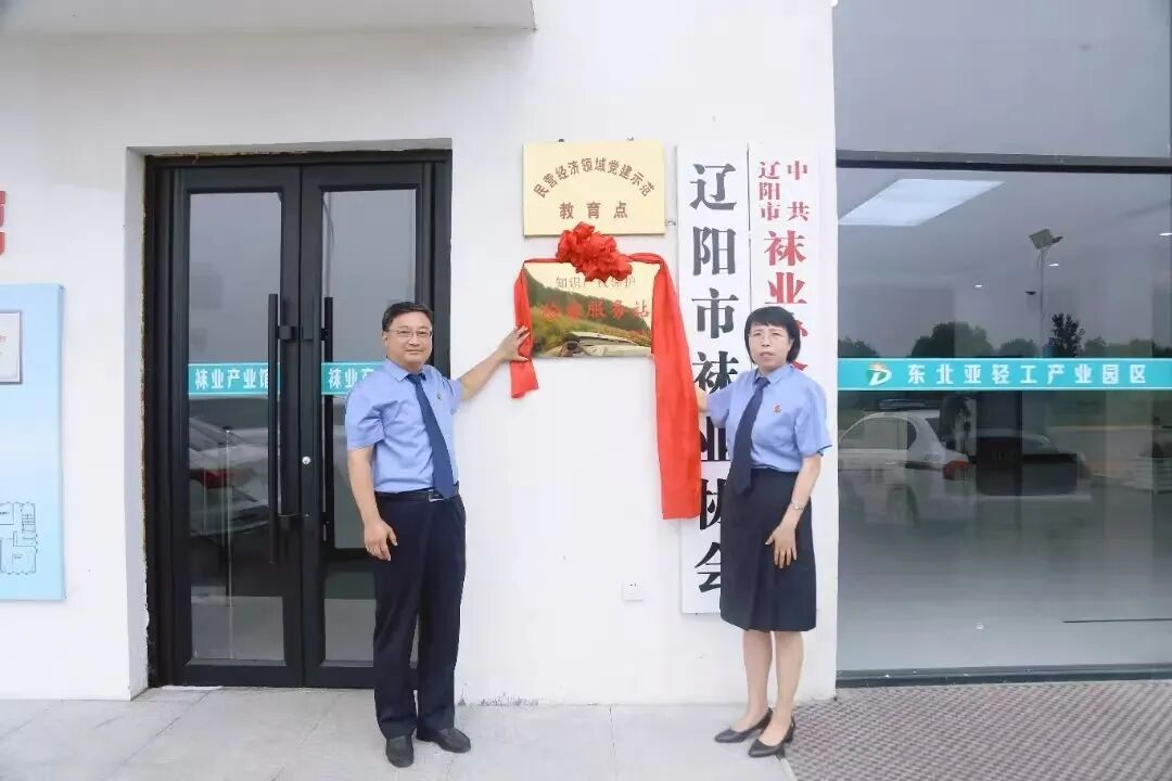 球速体育