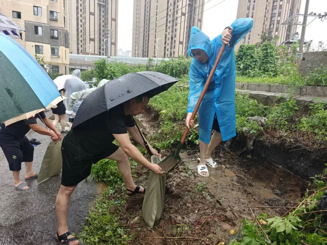 球速体育