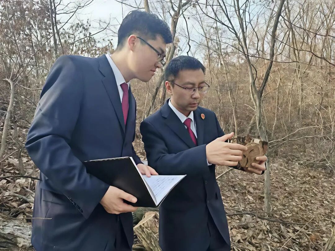 球速体育